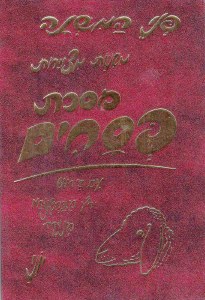 Picture of Penei Hamishnah Mishnayos Pesachim [Hardcover]